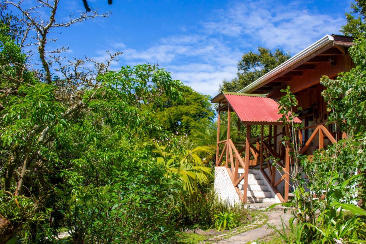 Hotel Holistico Monteverde Kültér fotó